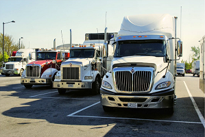 Transporte terrestre de carga